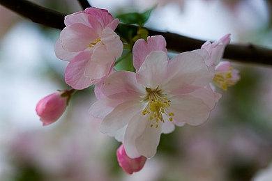 PlayStation漫游局惊喜亮相 打造潮流快闪打卡点